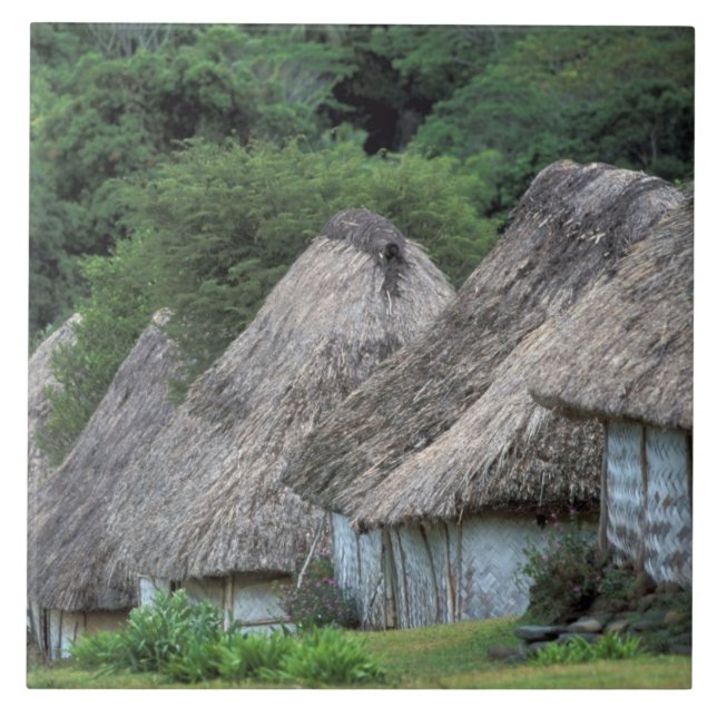 Fiji, Viti, Traditional hut houses. Tile (Front)
