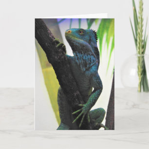 Fijian Crested Iguana Card
