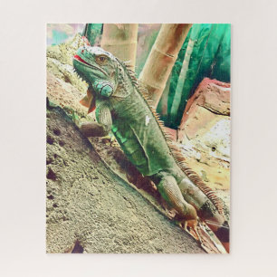 Fijian Iguana lizard reptile Jigsaw Puzzle