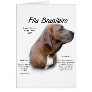 Fila Brasileiro History Design