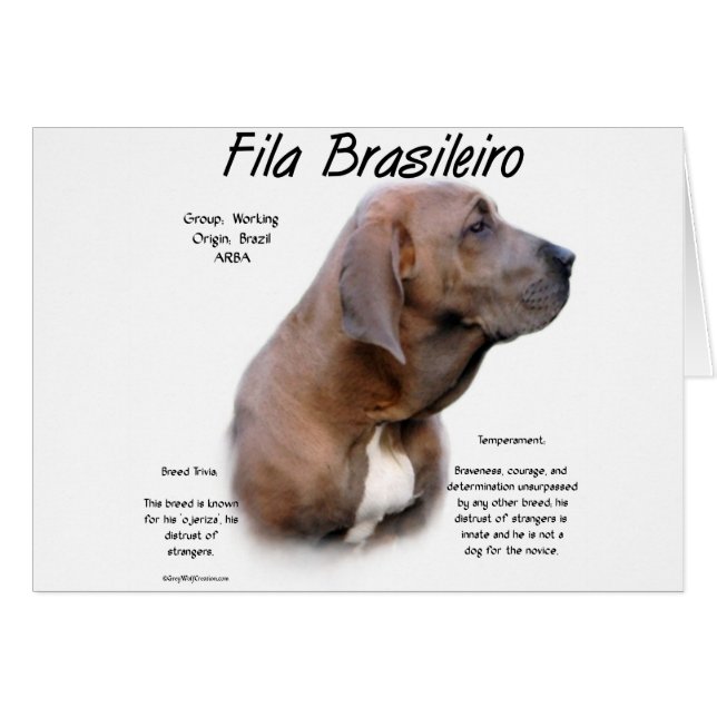 Fila Brasileiro History Design (Front Horizontal)