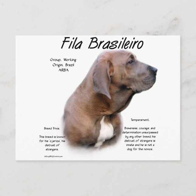 Fila Brasileiro History Design Postcard (Front)