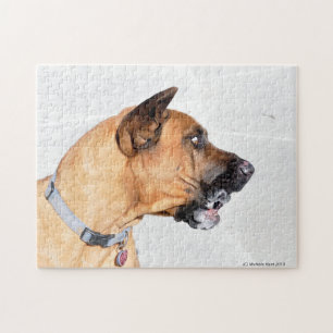 Fila Brasiliero Mastiff Jigsaw Puzzle