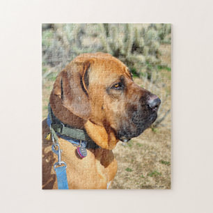 Fila Brasiliero Mastiff Jigsaw Puzzle