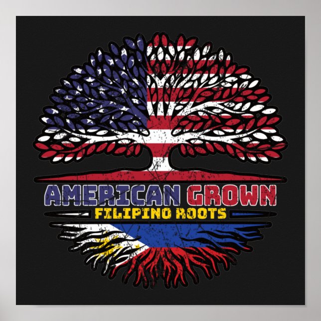 Filipino Philippines US American USA United States Poster (Front)