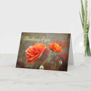 Filled Poppies from Bud to Full Bloom Card