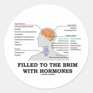 Filled To The Brim With Hormones (Anatomy) Classic Round Sticker