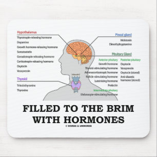 Filled To The Brim With Hormones (Anatomy) Mouse Mat