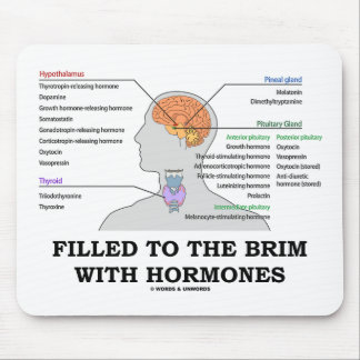 Filled To The Brim With Hormones (Anatomy) Mouse Mat