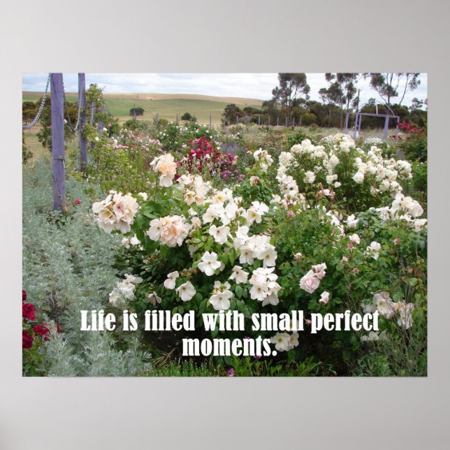Filled With Perfect Moments Garden Flowers Poster (Front)