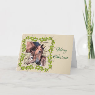 Filly and Foal Christmas Card