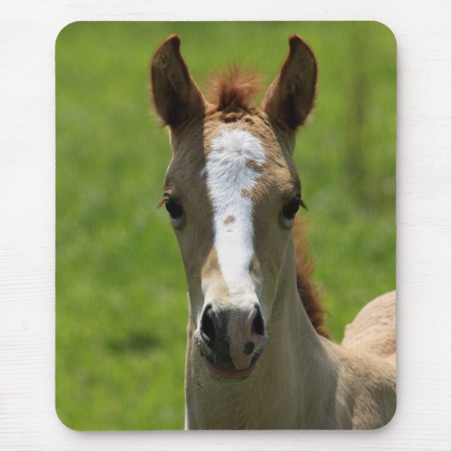 Filly Mouse Mat (Front)