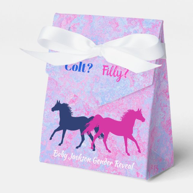 Filly Or Colt Western Style Gender Reveal  Favour Box (Front Side)
