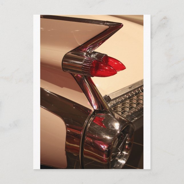 Fin Postcard (Front)