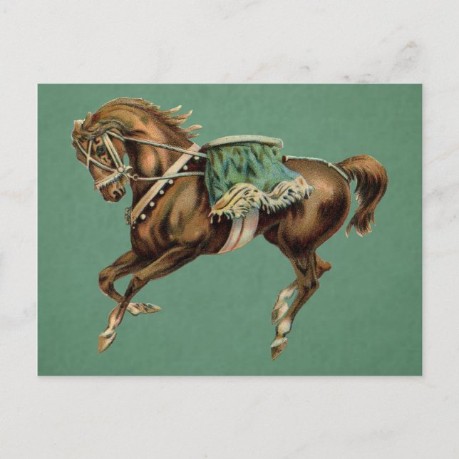 fin tuna postcard (Front)