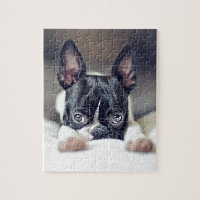 Fina the Boston Terrier Jigsaw Puzzle (Vertical)