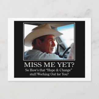 Final-BUSH-HAT.Miss-Meai Postcard