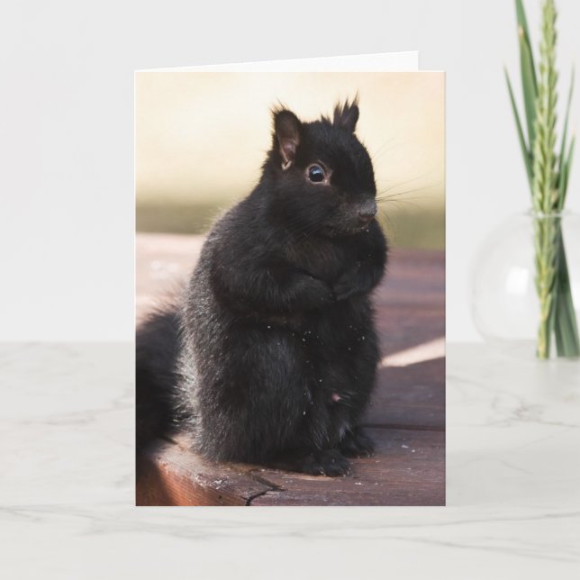 Finally Friends Card (Front)