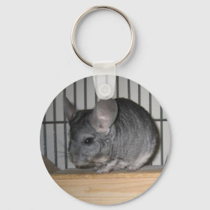 Finally Home Chinchillas: Cheeko Key Ring