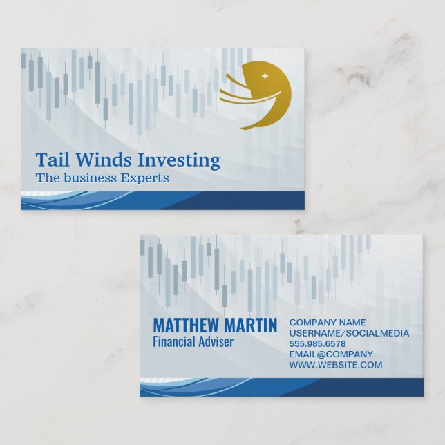 Financial Chart | Sail Ship Logo Business Card (Front/Back)