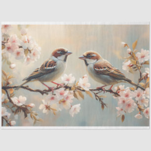 Finch Birds on a Cherry Blossom Branch Decoupage Tissue Paper