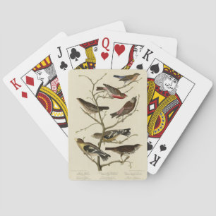 Finch, Bunting, Grosbeak, Audubon Birds of America Playing Cards