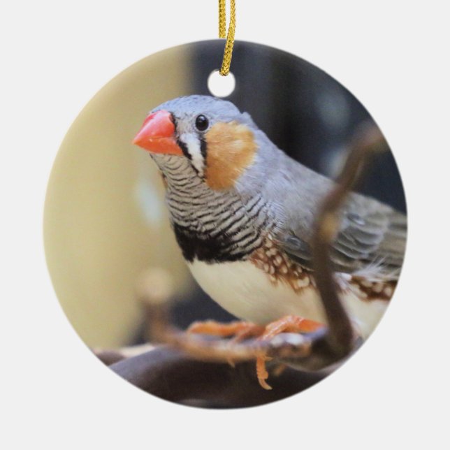Finch Ceramic Tree Decoration (Front)