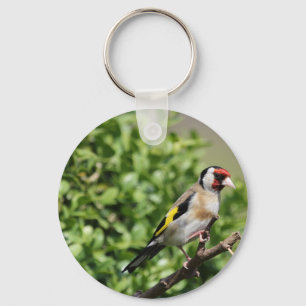 FInch Key Ring