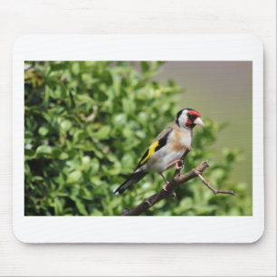 FInch Mouse Mat