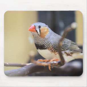 Finch Mouse Mat