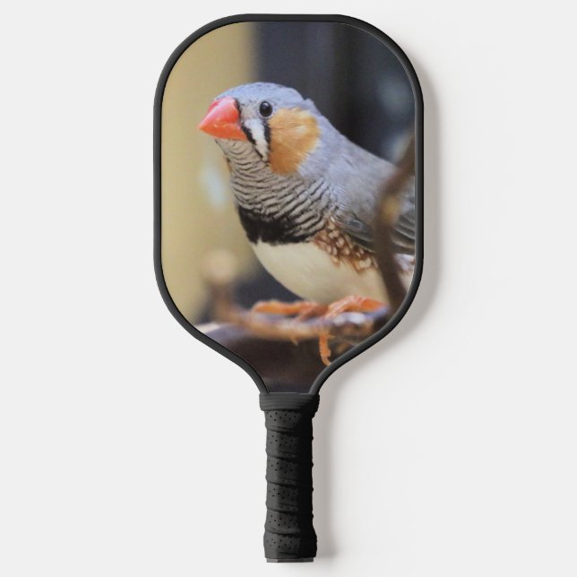 Finch Pickleball Paddle (Front)