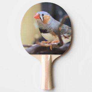 Finch Ping Pong Paddle