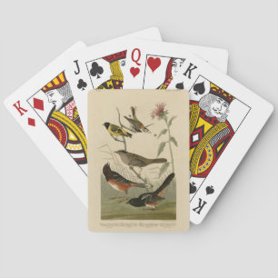 Finch, Towhee, Sparrow, Audubon's Birds of America Playing Cards