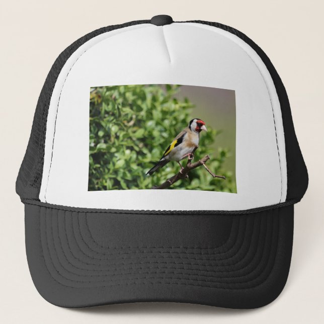 FInch Trucker Hat (Front)