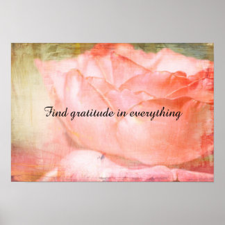 Find Gratitude Poster