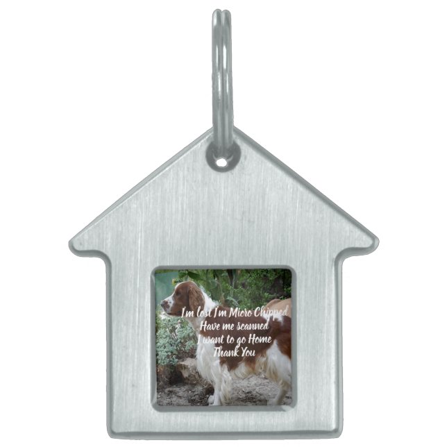 Find my pet ID tag (Front)