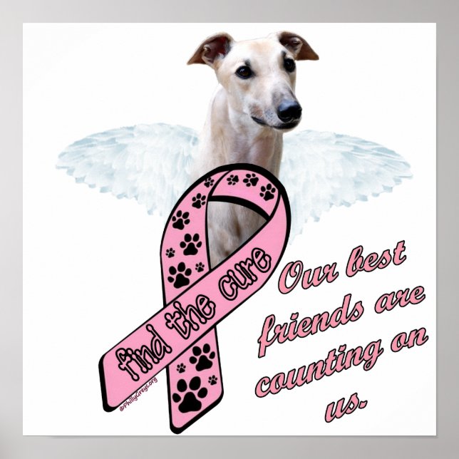 Find the Cure ~ Wings Poster (Front)