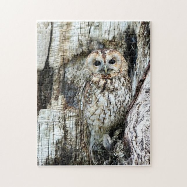 Find The Owl Jigsaw Puzzle (Vertical)