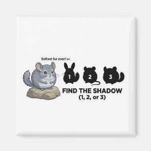 Find the Shadow Chinchilla Animal World Quest for  Magnet