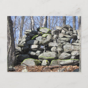 Find The Turtles Ceremonial Stone Postcard