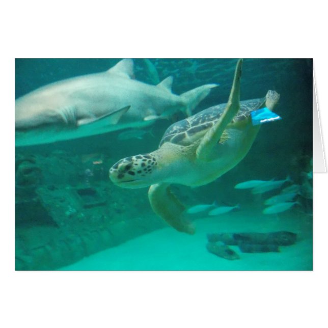 Find Your Sweet Spot (Front Horizontal)