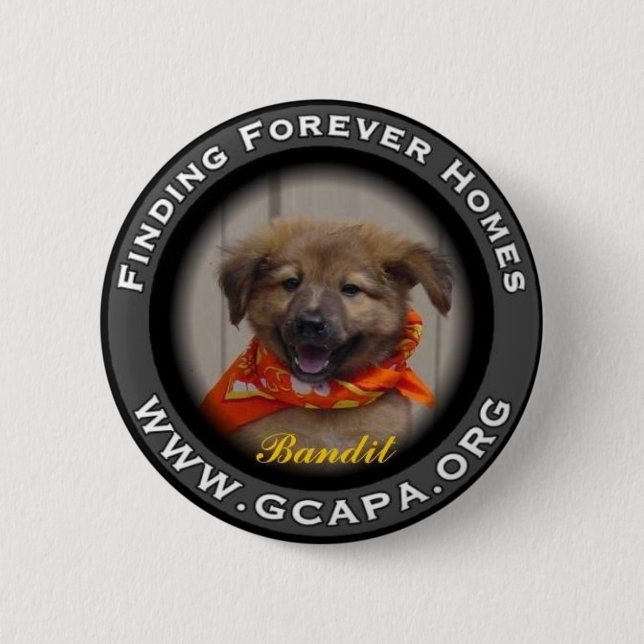 Finding Forever Homes 6 Cm Round Badge (Front)