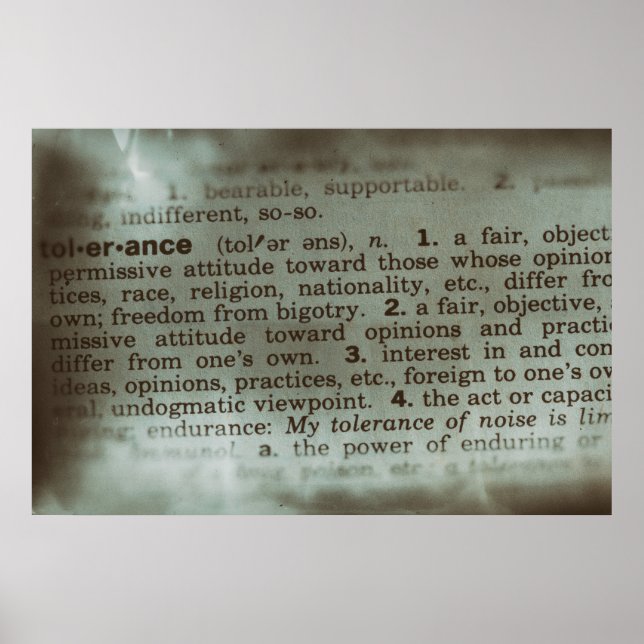Finding Meanings - Tolerance Poster (Front)