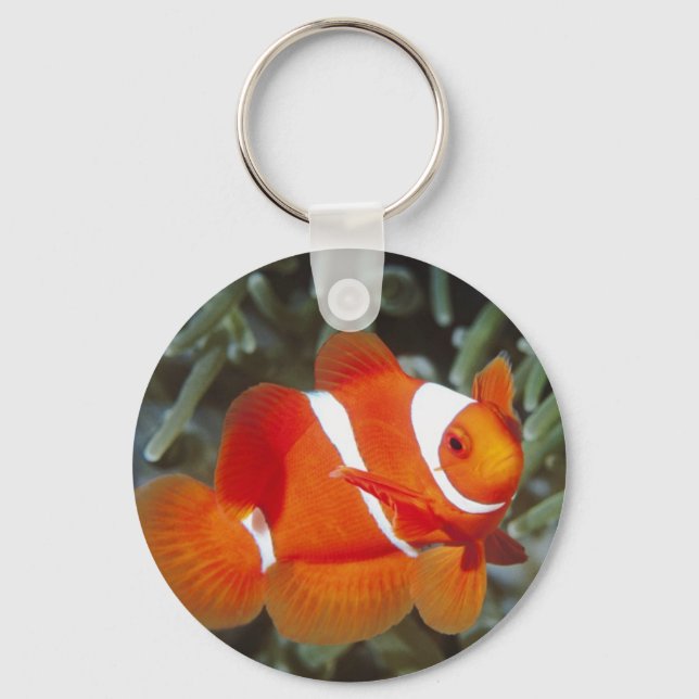 finding nemo key ring (Front)