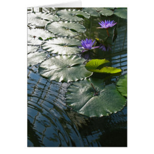 Finding peace card