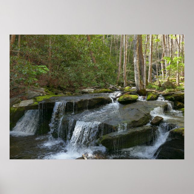 Findlay Falls II Poster (Front)