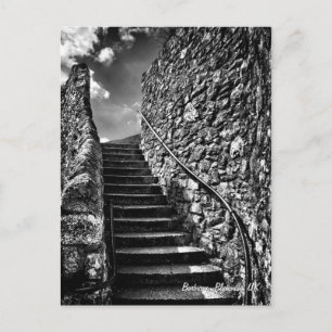 Fine Art, Barbican Steps, Plymouth Postcard