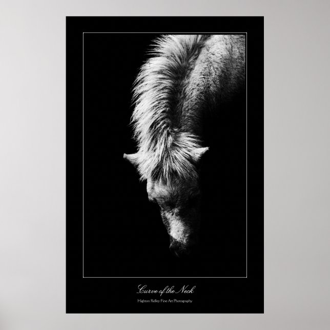Fine Art Curve Of The Neck, gallery style Poster (Front)