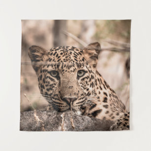Fine art image of male leopard or panther portrait tapestry