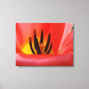 Fine art Panel canvas prints Red Tulip Flower